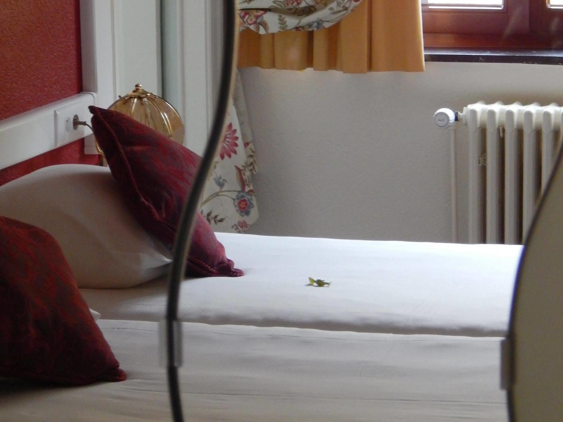 Hostellerie Beau Site Trois-Ponts Bagian luar foto